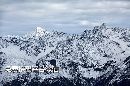 推特接码短信平台有哪些