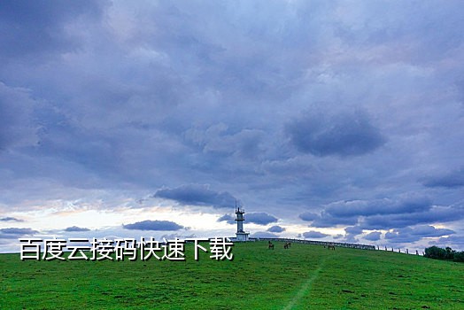 提供手机号接验证码