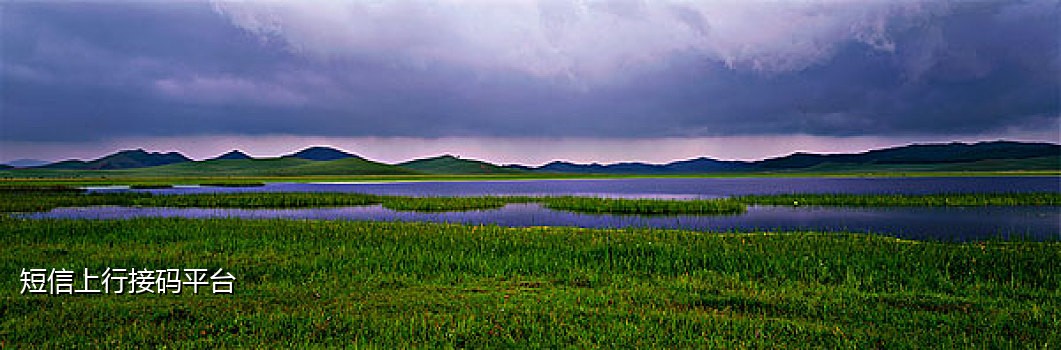 淘宝注册接码器