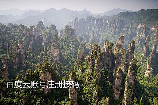 中国手机号接码平台