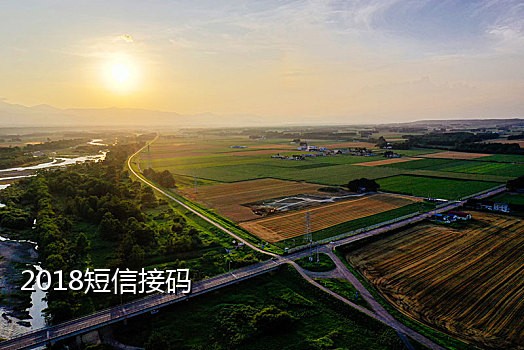 台湾接码短信验证码平台
