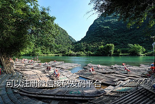 手机验证码接发