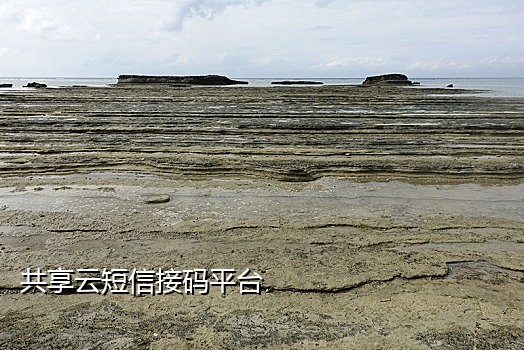 手机虚拟号码怎么接码