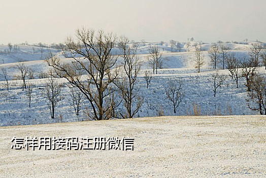 手机没法接验证码