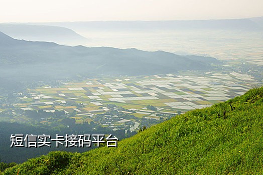手机卡不识别怎么接验证码