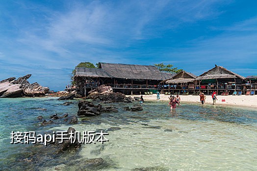 手机接验证码在线