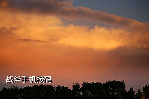 手机接验证码特曼