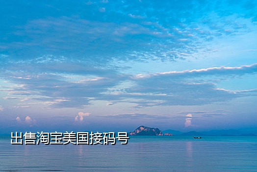 手机接码收费软件