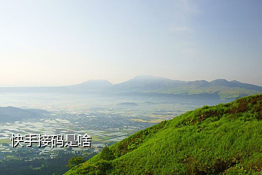 手机接码器软件