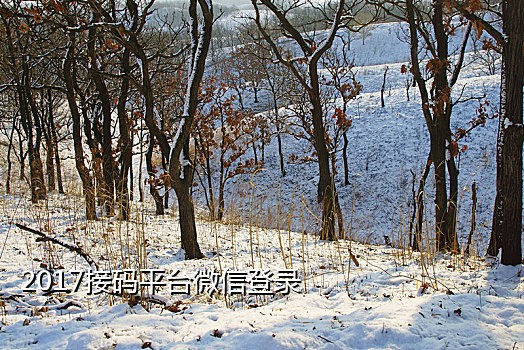 手机接码平台怎么用啊微信
