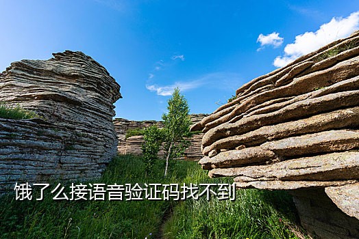 手机接不上验证码