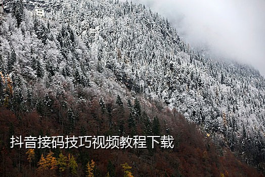 手机号可接验证码