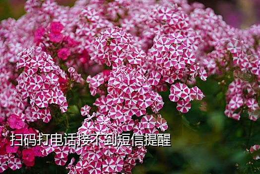 手机号接码人生