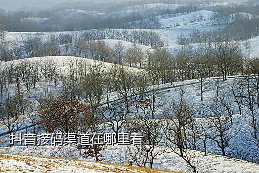 手机封号验证码怎么接不到