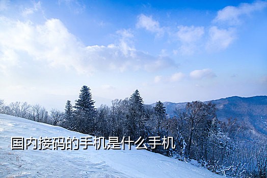 手机版接码平台吗