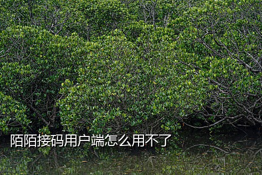 什么是手机平台接码