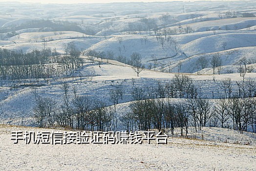 什么接码可以接淘宝客服