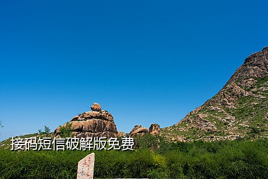 苹果手机有没有接码