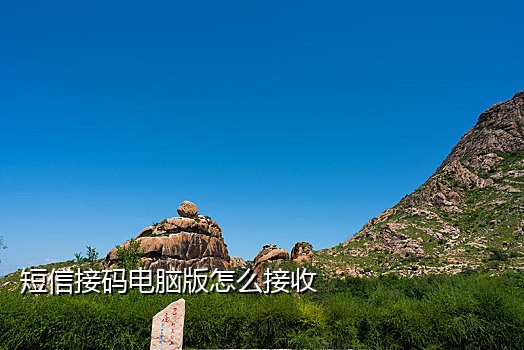 能发短信的接码平台