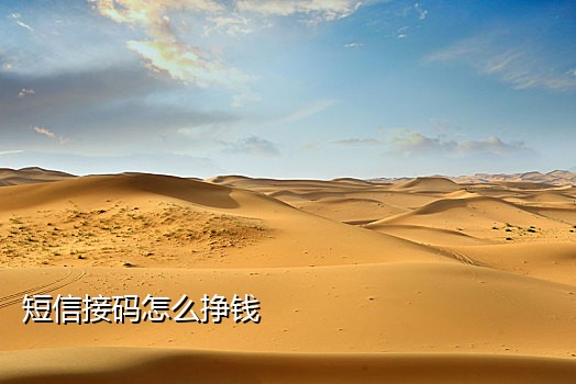 找码短信接码