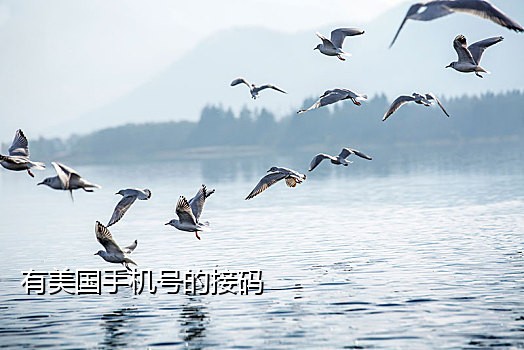 陌陌接码平台免费