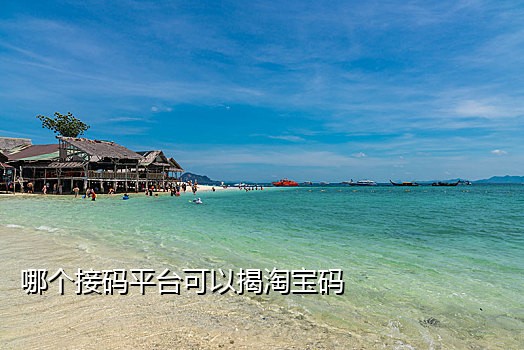 秒接短信验证码的平台