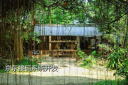 怎么用手机接码发短信