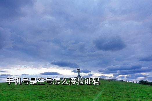 美国手机号接码软件