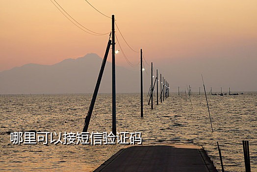 美国陌陌接码网站