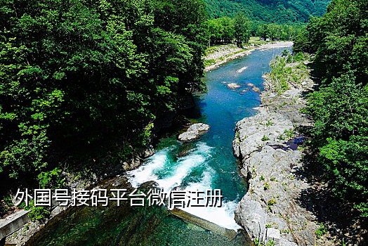 怎么接韩国手机验证码电话