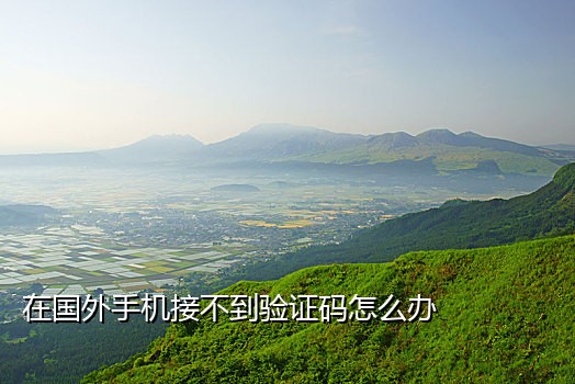 京东接码在哪接
