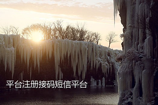 在线手机免费接码