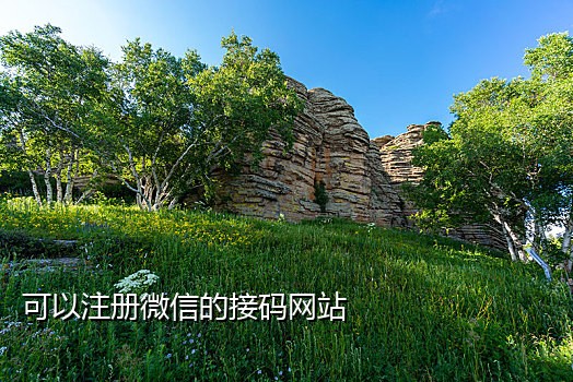 在线接码手机号