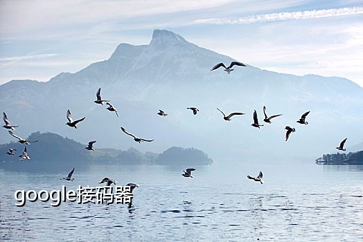 接码注册微信怎么操作