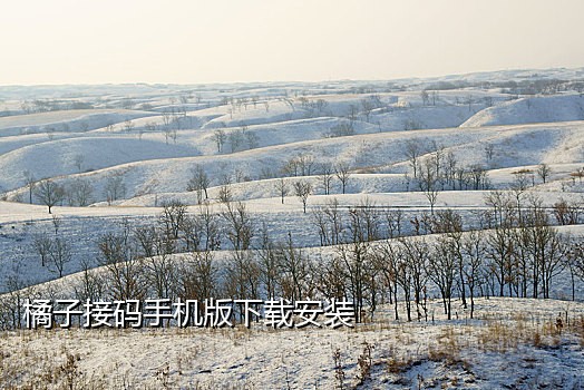 接码微信支付宝
