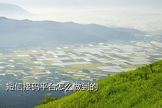 接码平台为什么注册不了QQ