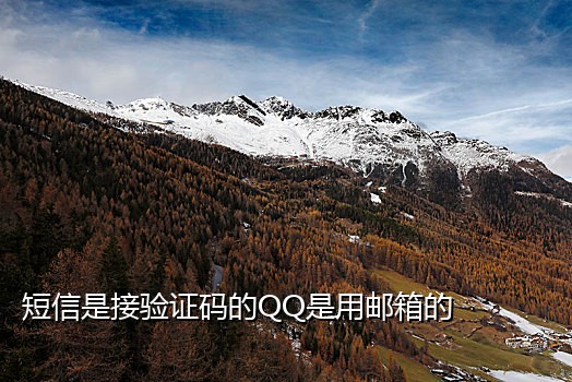 接码平台 微信 支付宝