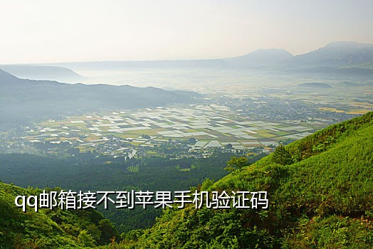 接码短信怎么用