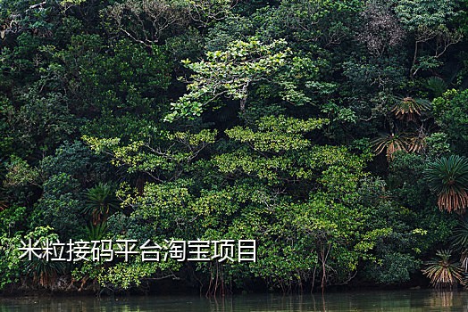 接码短信接收平台