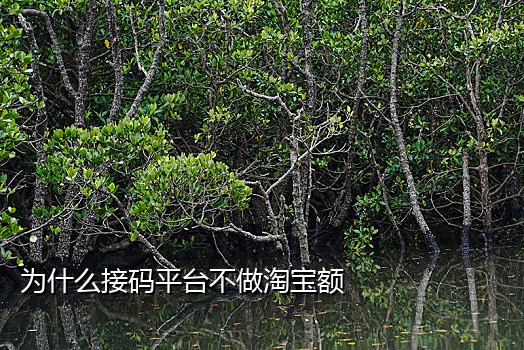 接qq验证码的平台有哪些