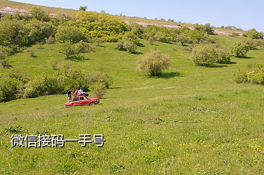 活手机接码QQ绑定