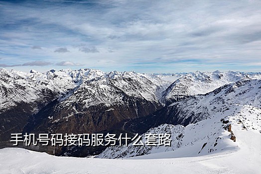 玉米接码短信记录