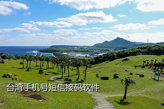 谷歌邮箱短信接码