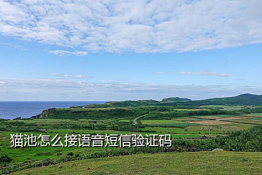 给自己的手机接码