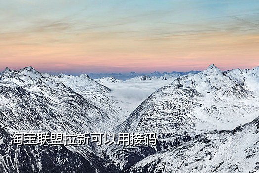 飞牛京东接码