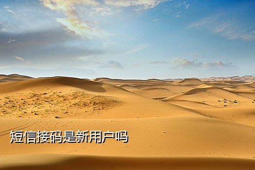 俄罗斯验证码接码短信平台