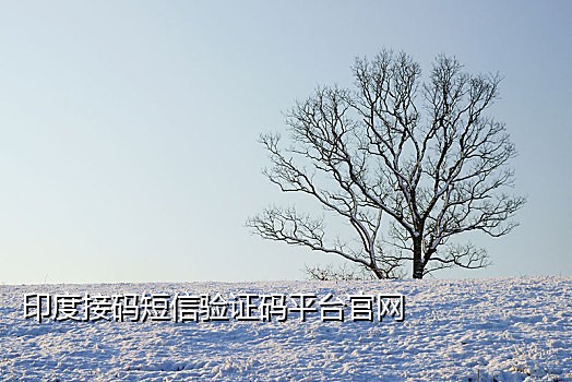 短信验证码接口怎么接