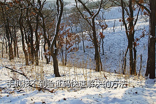 短信验证码接不到怎么办