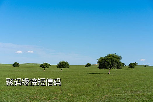 短信实卡接码平台
