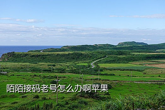 短信接吗爱码族